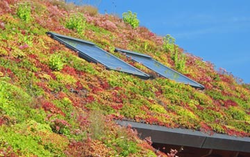 Rolls Mill living roof systems