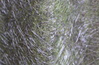 Rolls Mill fibreglass roof work